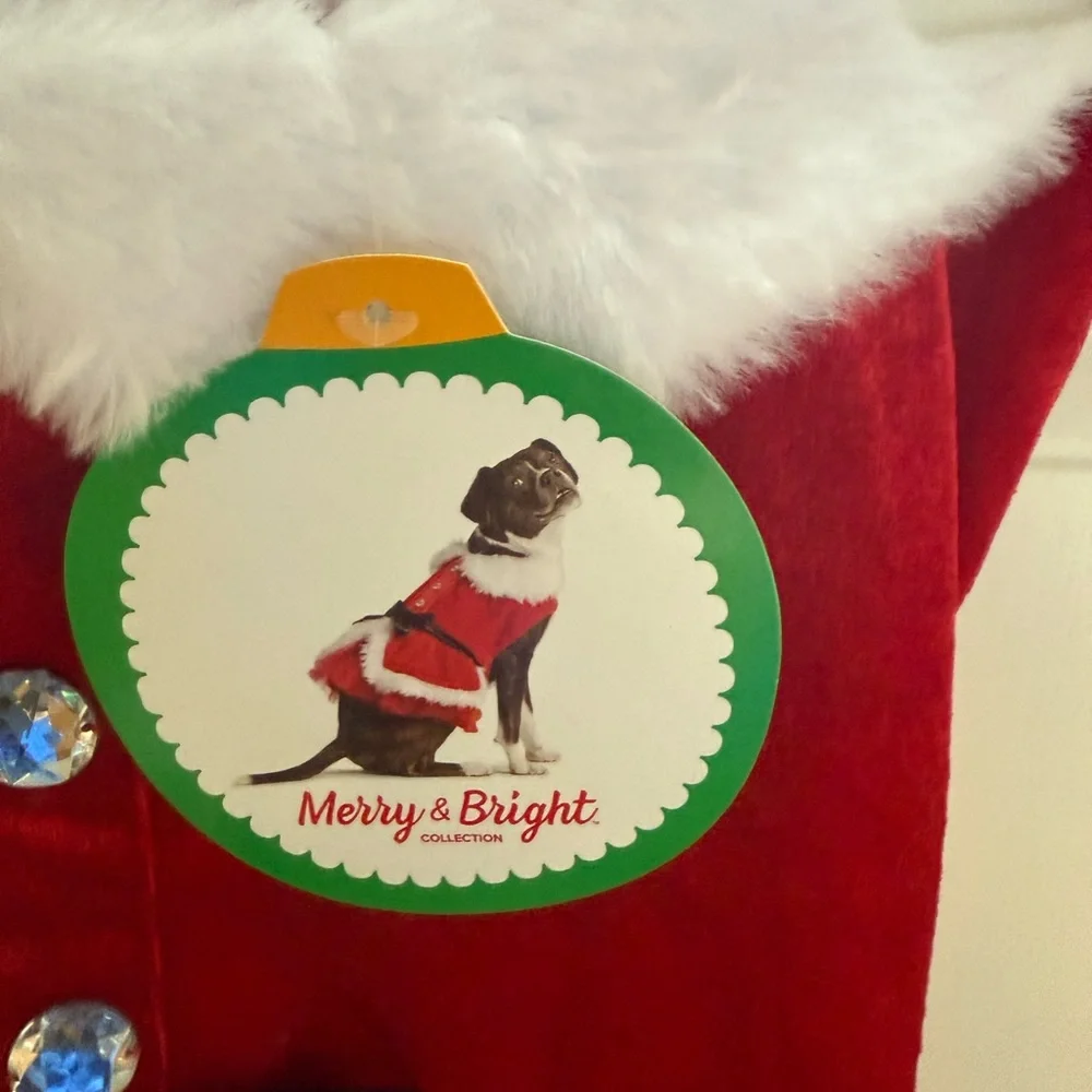 Dog Mrs. Claus costume